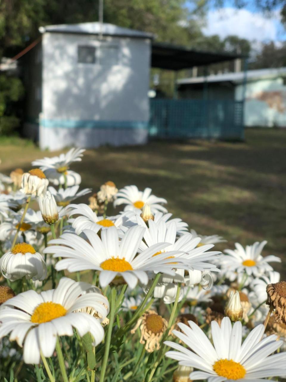 Lazy Days Caravan Park Vasse 外观 照片
